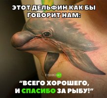 Простите, о сразу вспомнилось...