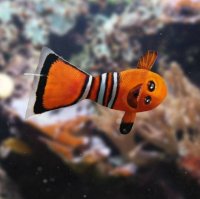 ПО-моему, Немо похожа на злобную пиранью