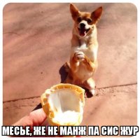 Ай, молодца! Совсем как мой хитрец йорк.