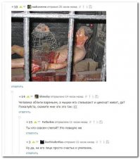 Смешные комментарии и высказывания из социальных сетей