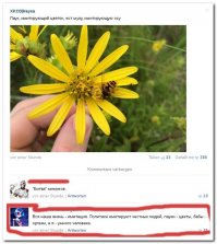 Смешные комментарии и высказывания из социальных сетей