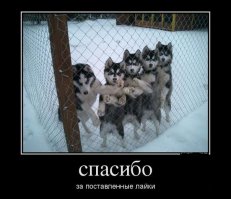 Не спешите выбрасывать матрац из-за пятен: всё легко очищается