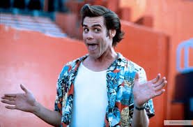 Как работает частный детектив по розыску домашних животных?