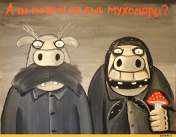 Самый буржуйский пост на Фишках!