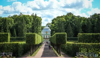 Добавлю от себя пару фоток.