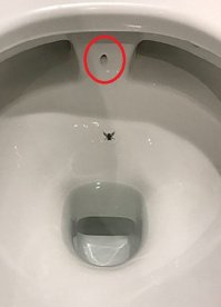 Что за отверстие в унитазе?