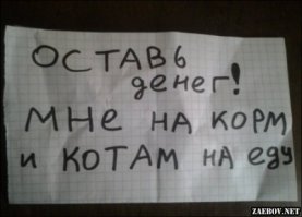 Послание в бутылке нашло адресата спустя 36 лет