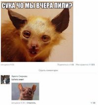 Смешные комментарии и высказывания из социальных сетей