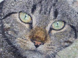 Заказчик доволен.