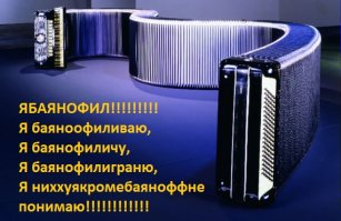 ебаянь сплошная безграмотная