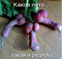 Дурацкое лето 2017