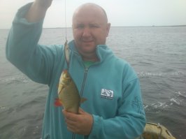 Вот окунь и краснопёрка