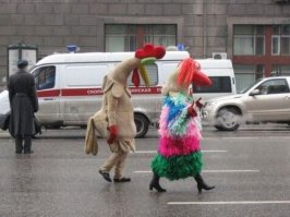 Подборка фото приколов 