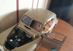 Подборка фото приколов 