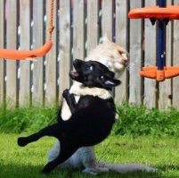 Подборка фото приколов, ч 4