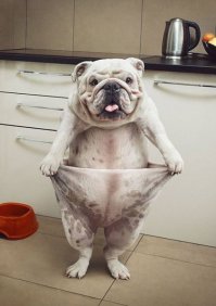Подборка фото приколов, ч 4
