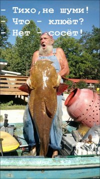 Подборка фото приколов, ч 3