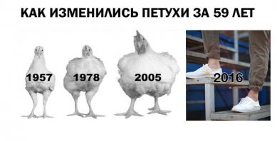 Отцы и дети. Кто тут true хипстеры?