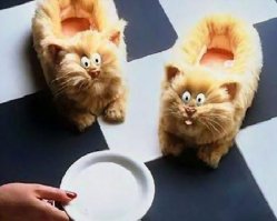 ты их не прокормишь!