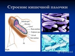 Любителям клубнички на заметку!