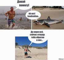 Эти люди рисковали жизнью, чтобы спасти животных