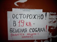 Ну какая же это собака, это тварь самая настоящая.