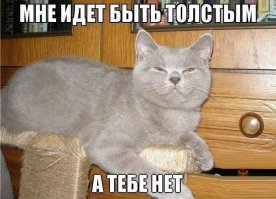 Подборка фото приколов, ч 7