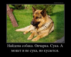 25 уморительных объявлений: так могли написать только наши люди!