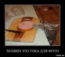 Наши милые ворюги