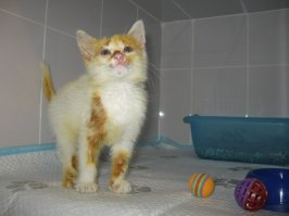 Мое)