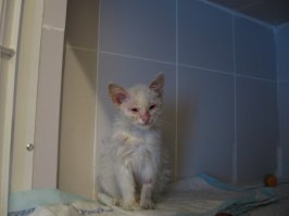 Мое)