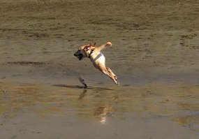 смешно, а тут погуглила, столько оказывается таких фотожопоруких