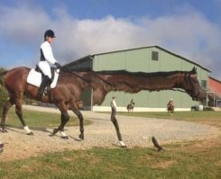 смешно, а тут погуглила, столько оказывается таких фотожопоруких