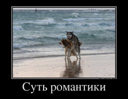 Романтики еще не вымерли