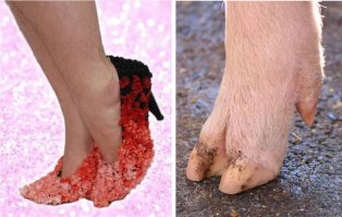 Подборка безумных идей для творчества своими руками