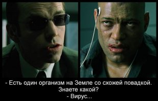 Дюжина удивительных фактов о вирусах