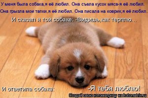 Человек и собака. Истории самой бескорыстной дружбы