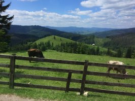 Некоторые аспекты сельской жизни в Румынии