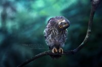 Где ж здесь пафос?

"Саси, Смит!"



"Сам соси!"