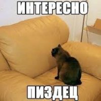 В доме завёлся свой маленький Рокфеллер