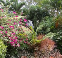 Собаки и котики в Юго-Восточной Азии  