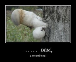 14 невинных фотографий, которые покажут, насколько вы испорчены