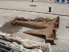 Подборка фото приколов, ч 7