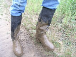 Даже не знаю Почему в некоторых странах  ПРИНЯТО разуваться в доме?