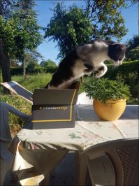 Крутое фото