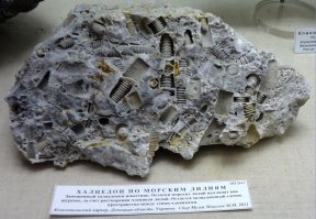 Вот вам целая гора "шурупов"))) (пояснение имеется)