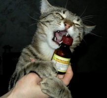 Иногда даже нужно!