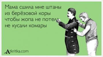 Лечебные свойства бересты