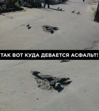 у нас птицы виноваты