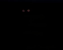 Прикольная история, но чего-то не хватает.
Кот есть и лампа, вроде, тоже есть.... Но что-то не то.